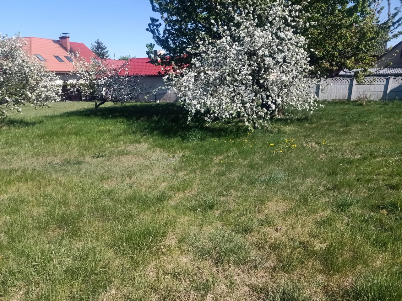 bliźniak, 3 pokoje Gruczno, ul. Świecka. Zdjęcie 9
