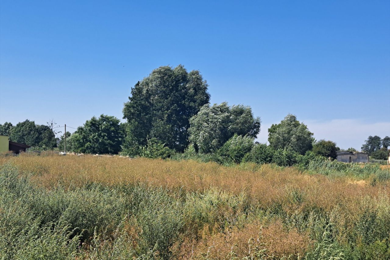 Działka rolno-budowlana Zaszczytowo. Zdjęcie 10