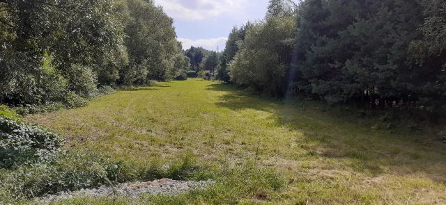 Działka budowlana Wolbrom. Zdjęcie 1