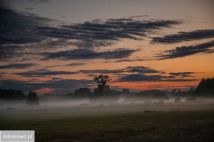 Działka rolna Wilcze Tułowskie. Zdjęcie 1