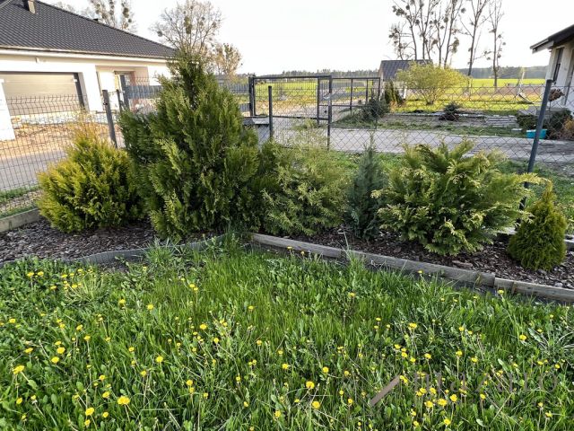 Działka budowlana Obrowo. Zdjęcie 7