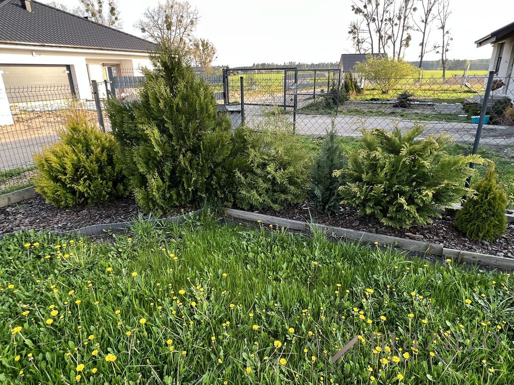 Działka budowlana Obrowo. Zdjęcie 7