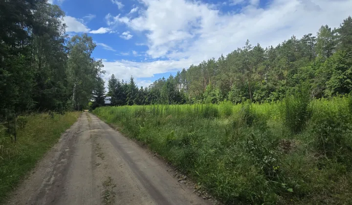 Działka budowlana Lisy