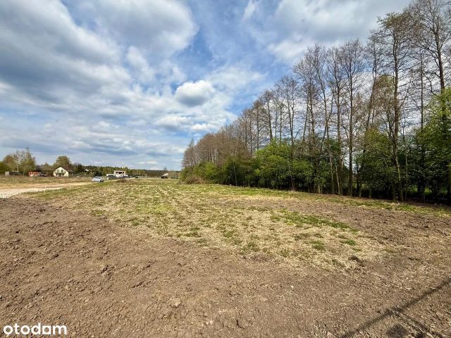 Działka budowlana Babiczki. Zdjęcie 8