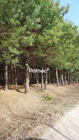 Działka rolna Cieleśnica. Zdjęcie 5