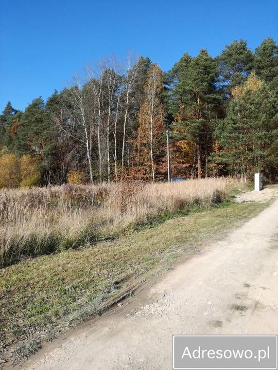 Działka budowlana Ciekoty. Zdjęcie 2