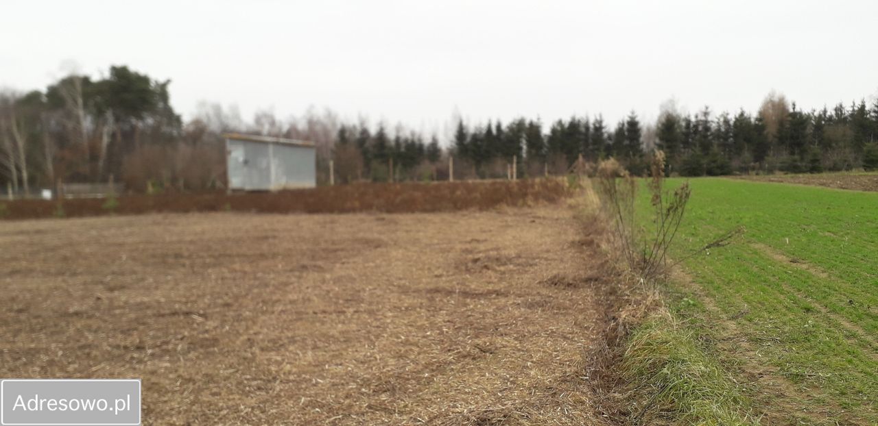 Działka budowlana Swoboda. Zdjęcie 3