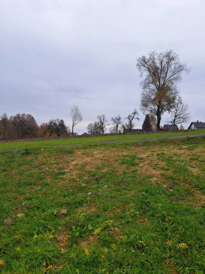 Działka budowlana Gorzków. Zdjęcie 2