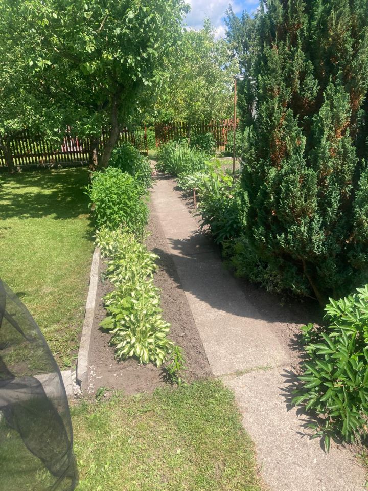 Działka rod Siedlce, ul. Targowa. Zdjęcie 6