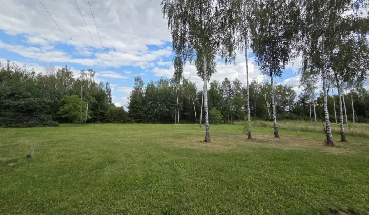 Działka budowlana Wolanów, ul. Opoczyńska