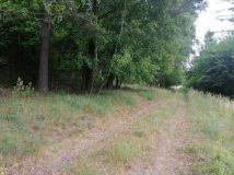 Działka rekreacyjna Szymonka. Zdjęcie 2