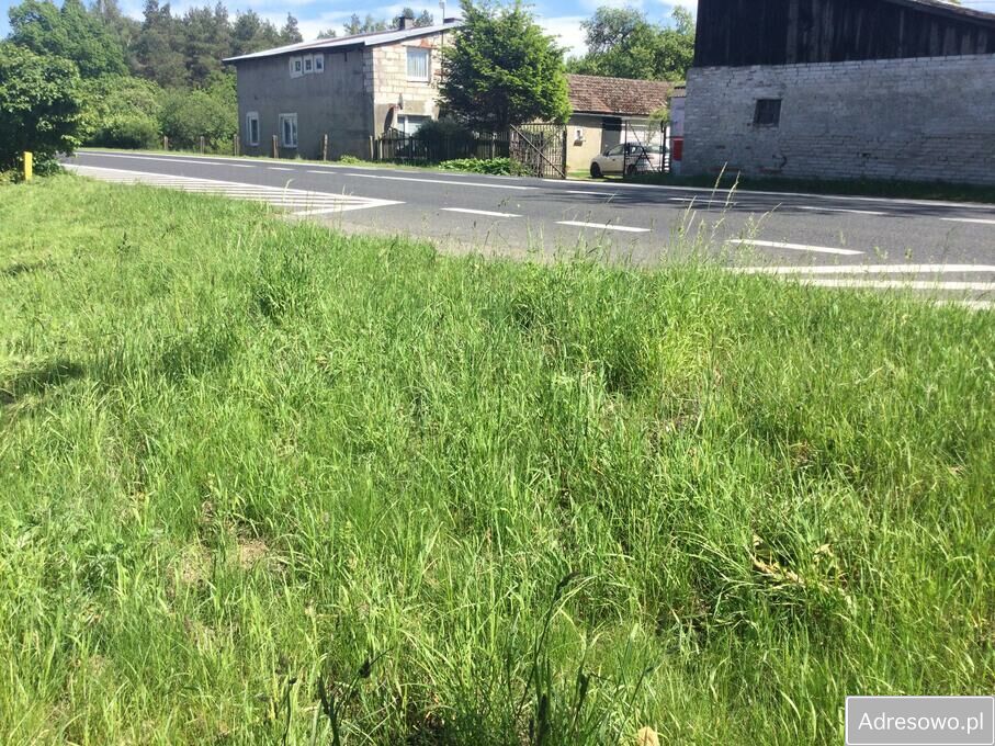 Działka budowlana Wrześnica. Zdjęcie 5