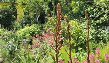 Działka rod Gliwice, ul. Marii Skłodowskiej-Curie