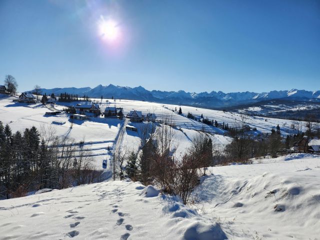 Działka rolna Rzepiska Bryjów Potok, ul. Potok Bryjów. Zdjęcie 1