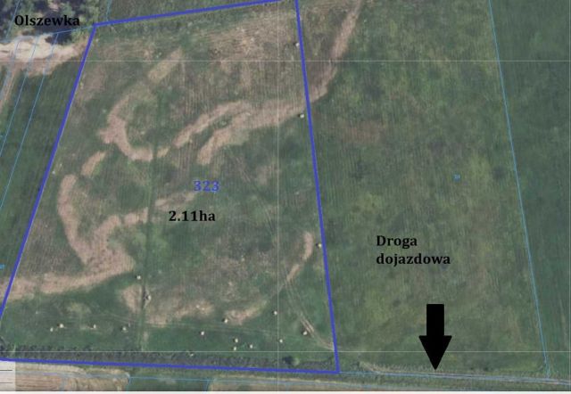 Działka rolna Olszewka. Zdjęcie 1