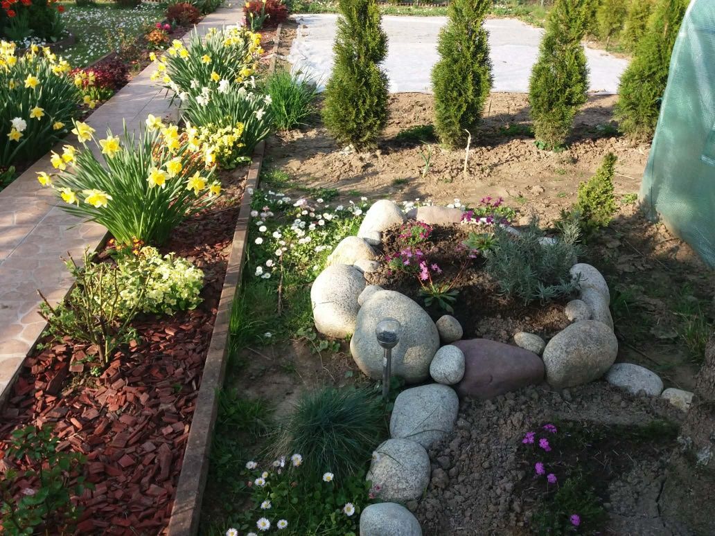 Działka rod Tarnobrzeg. Zdjęcie 2