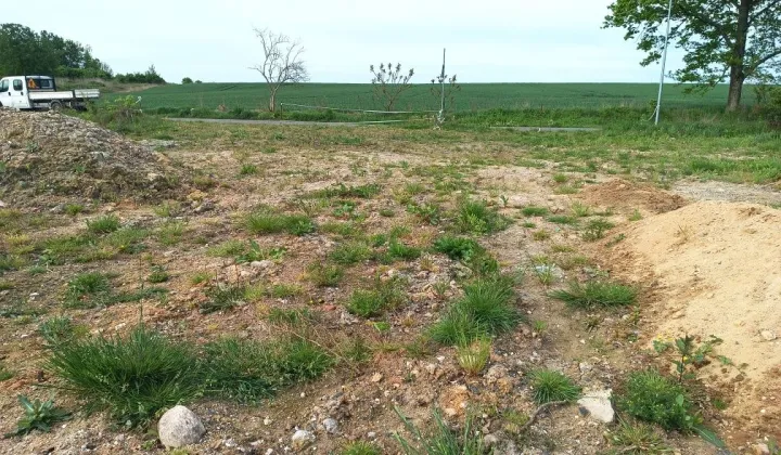 Działka budowlana Pisarzowice