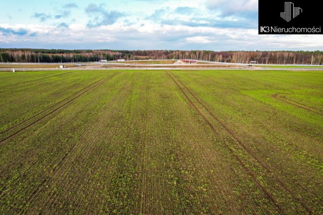 Działka inwestycyjna Stare Groszki. Zdjęcie 18