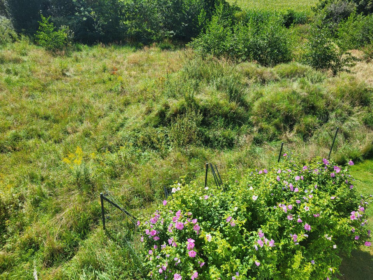 Działka budowlana Radomia Orzewo. Zdjęcie 26