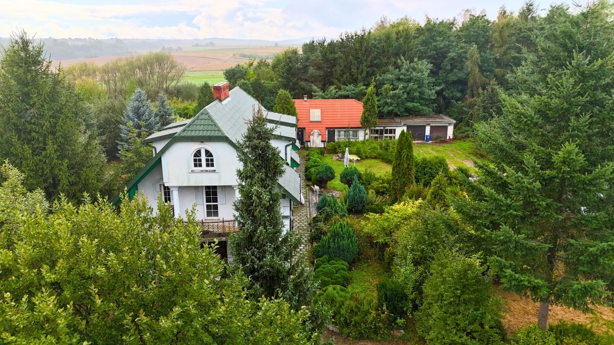 Działka rolna Zochcinek. Zdjęcie 8