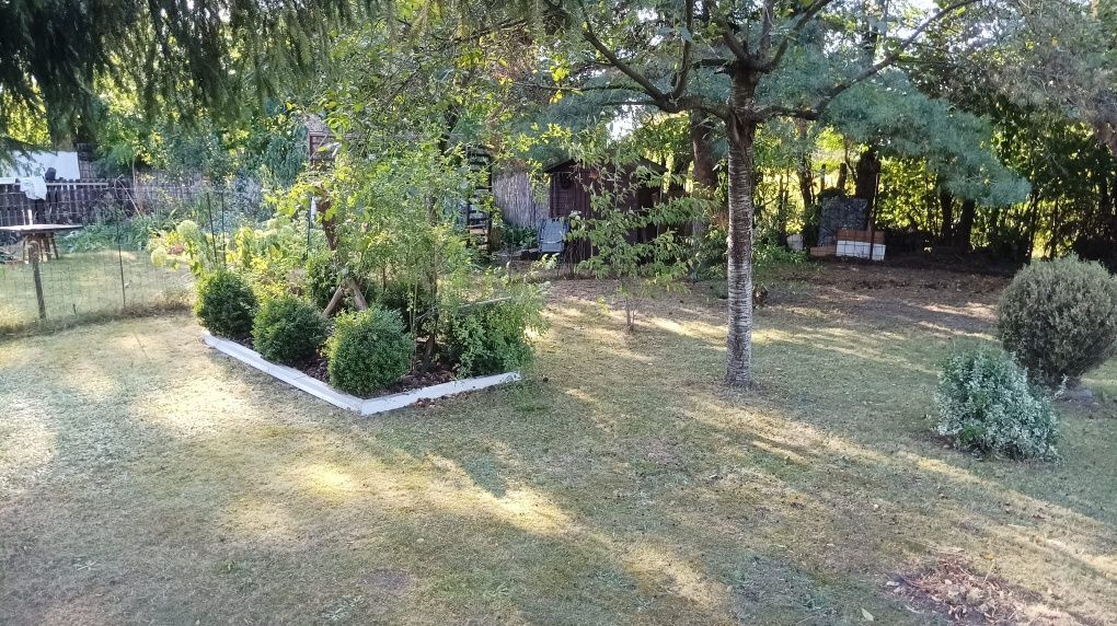 Działka rod Gliwice Sośnica. Zdjęcie 7