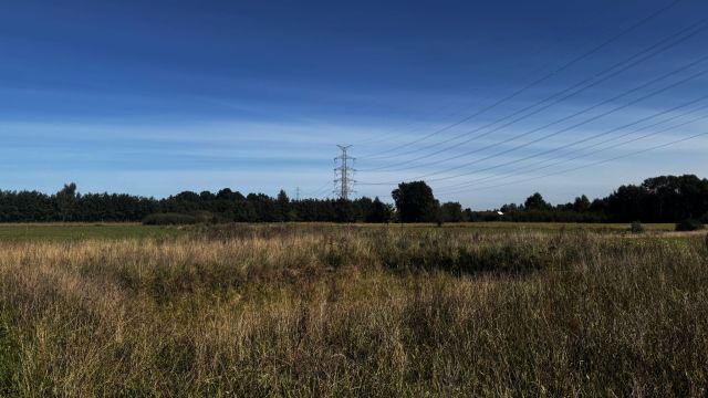 Działka budowlana Przyjaźń, ul. Pogodna. Zdjęcie 6