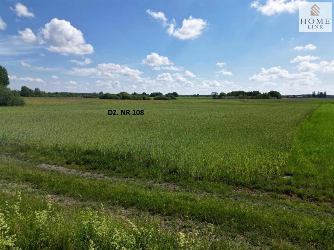 Działka siedliskowa Stębark. Zdjęcie 10