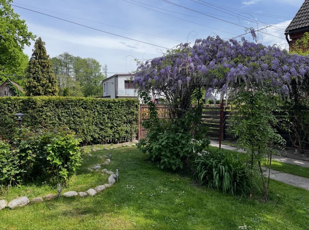 dom wolnostojący, 3 pokoje Chróścielów. Zdjęcie 5