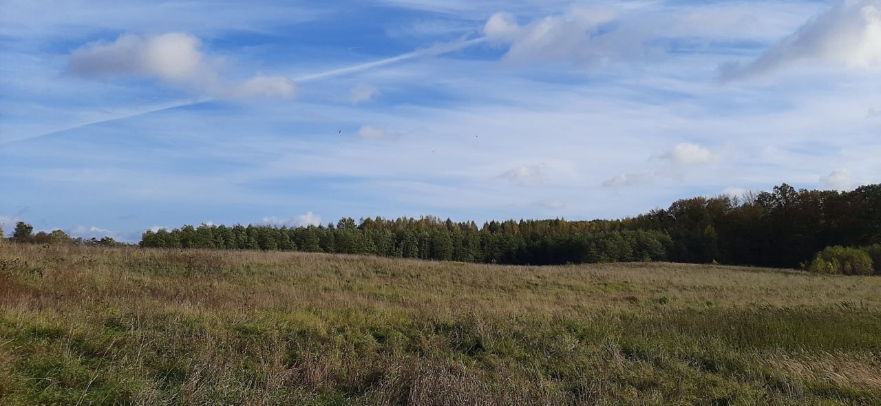 Działka rolno-budowlana Warkałki. Zdjęcie 3