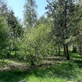 dom wolnostojący Łuszczów Pierwszy. Zdjęcie 2