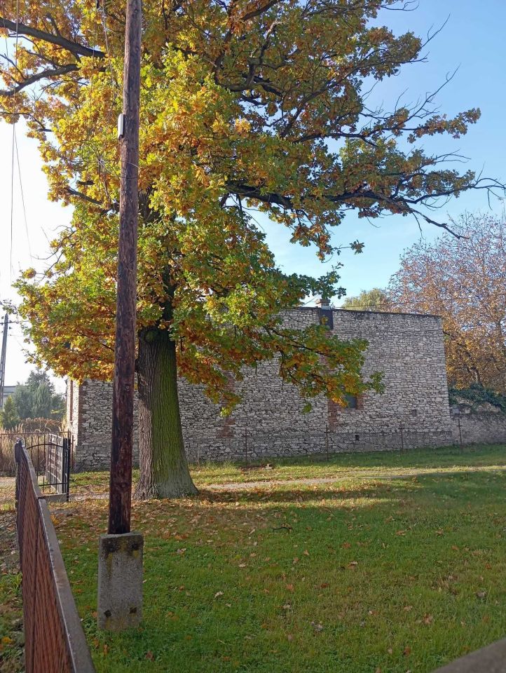 dom wolnostojący Dąbrowa Górnicza Ujejsce, ul. Władysława Broniewskiego. Zdjęcie 7