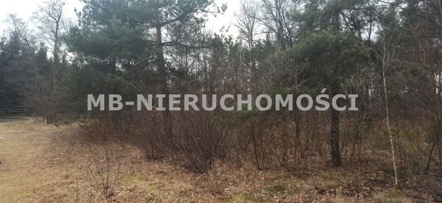 Działka budowlana Zakręt. Zdjęcie 3