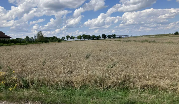 Działka rolna Kiełmina