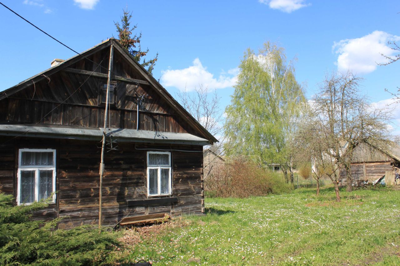 siedlisko Sawice-Bronisze. Zdjęcie 4