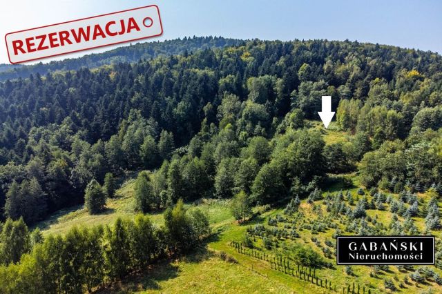 Działka budowlana Słona. Zdjęcie 5