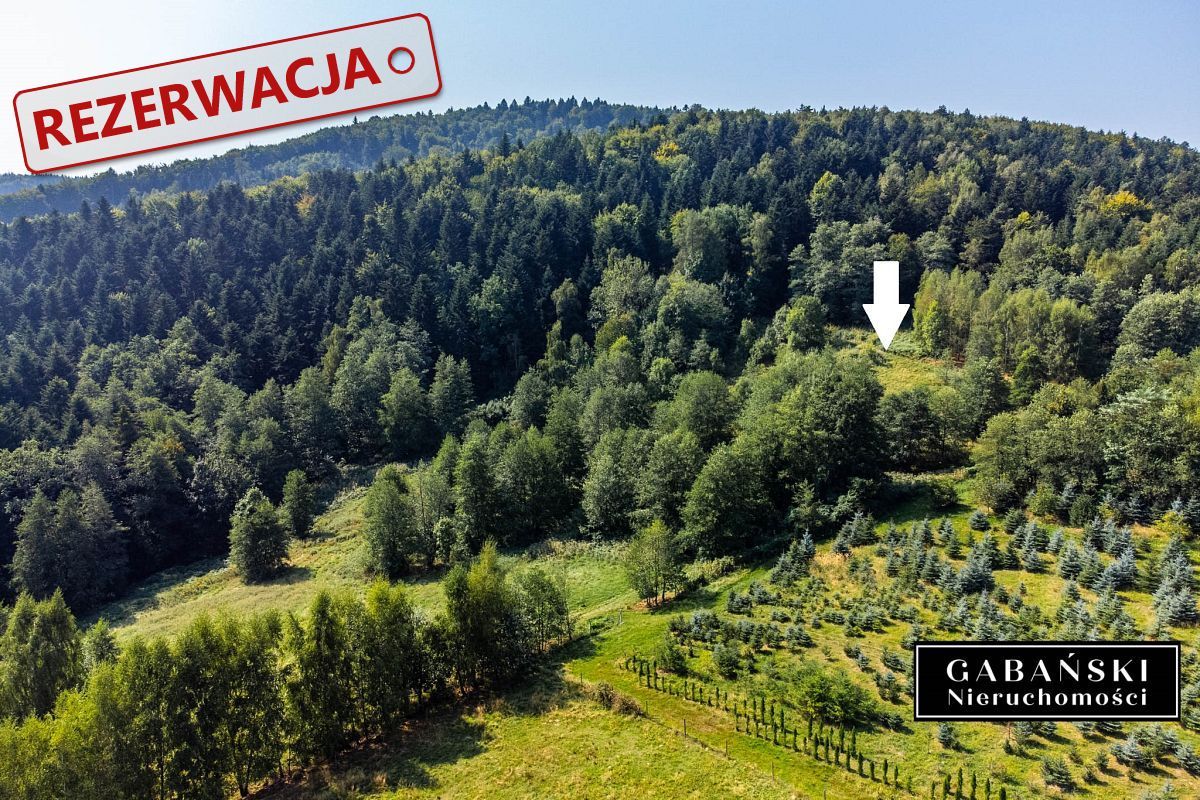 Działka budowlana Słona. Zdjęcie 5