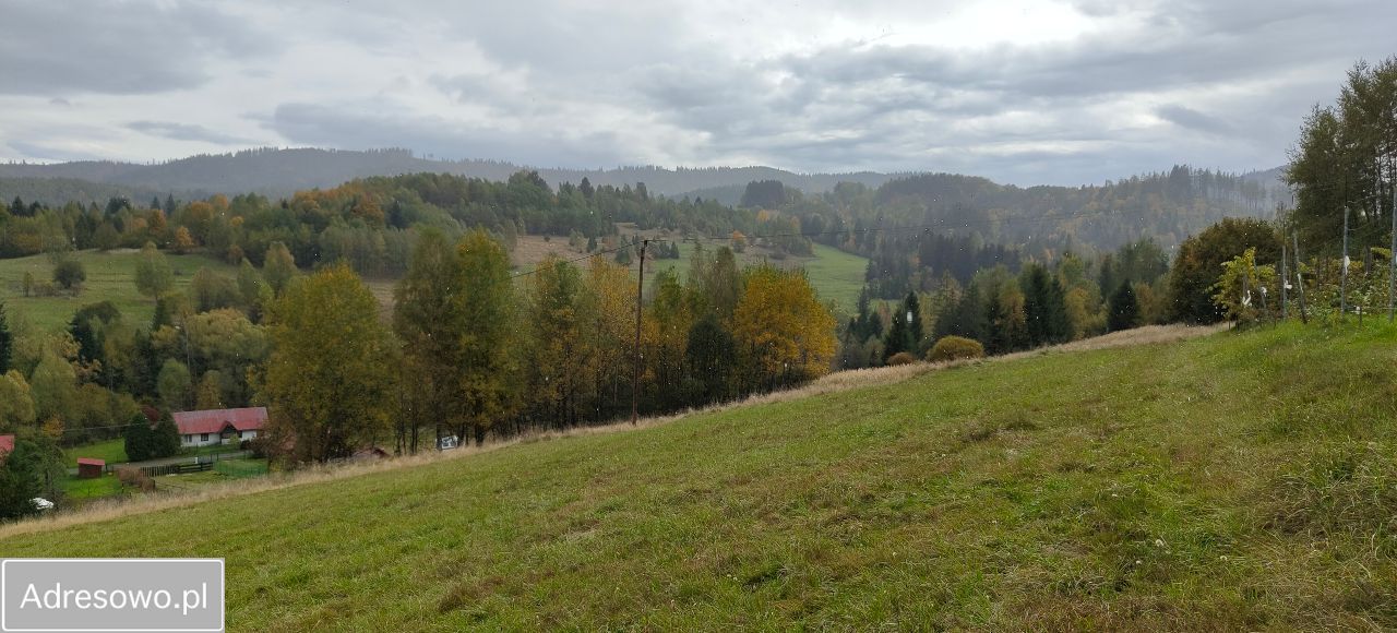 Działka rolna Glinka. Zdjęcie 2