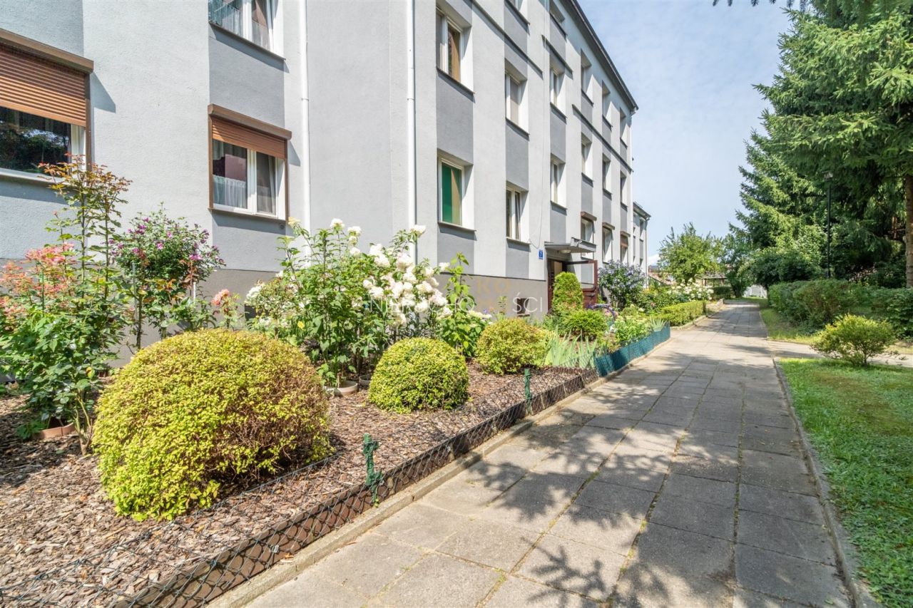 Mieszkanie 3-pokojowe Wołów, ul. Rawicka. Zdjęcie 16