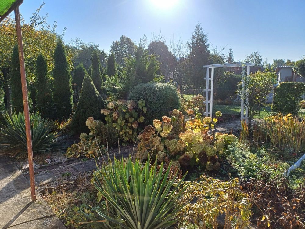 Działka rod Gniezno, ul. Biskupińska. Zdjęcie 1