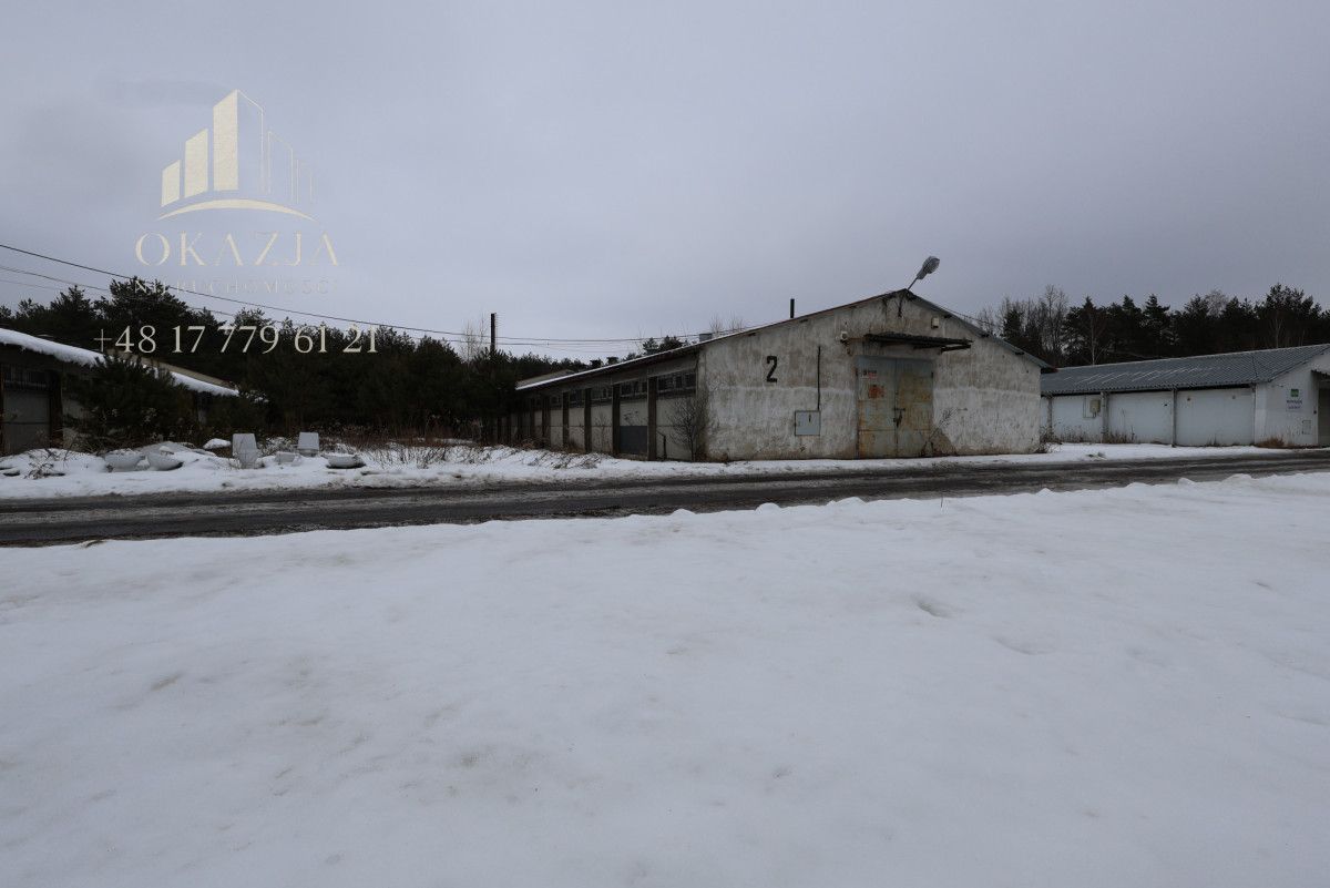 Lokal Wysoka Głogowska. Zdjęcie 2