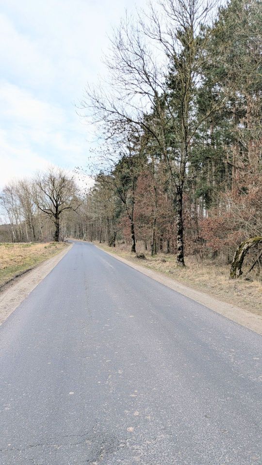 Działka budowlana Potrzanowo, ul. Skocka. Zdjęcie 6