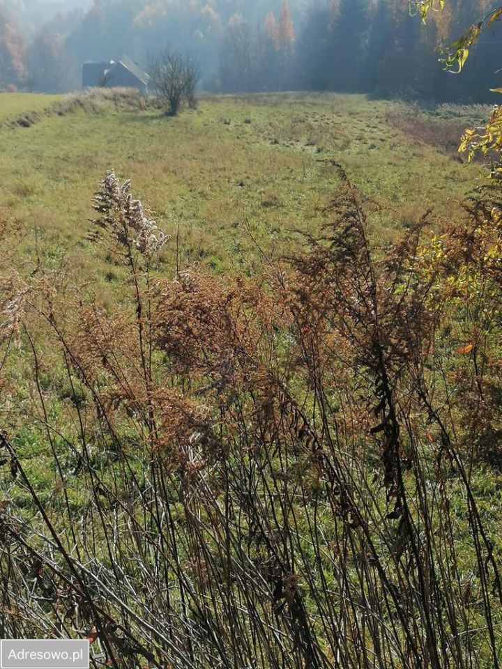 Działka rolno-budowlana Wola Radziszowska Chożyny. Zdjęcie 2