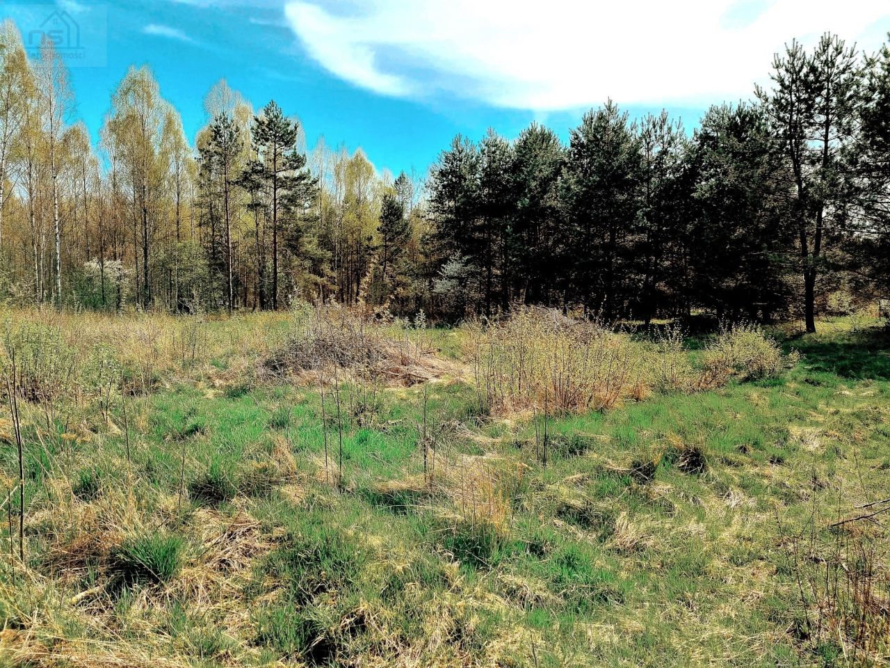 Działka siedliskowa Zabłudów, ul. Kolonia. Zdjęcie 3