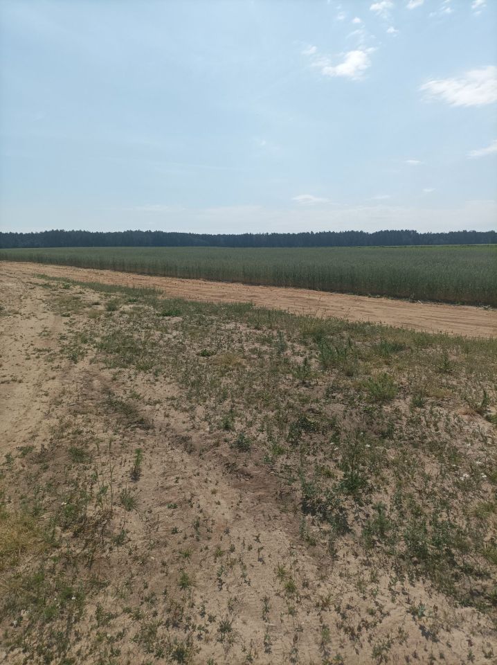 Działka budowlana Sierzputy Zagajne. Zdjęcie 6