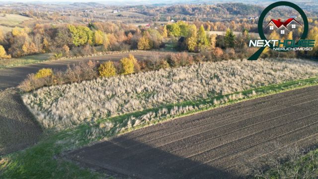 Działka budowlana Raciechowice. Zdjęcie 8