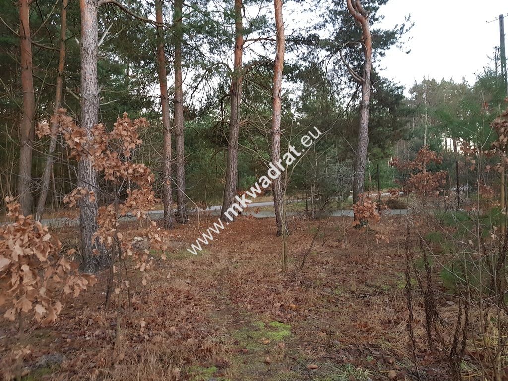 Działka budowlana Jesionka. Zdjęcie 8