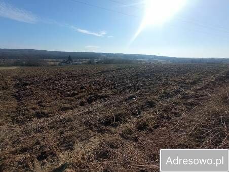 Działka rolna Niemienice. Zdjęcie 1