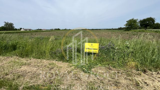 Działka budowlana Rudka Kozłowiecka. Zdjęcie 1