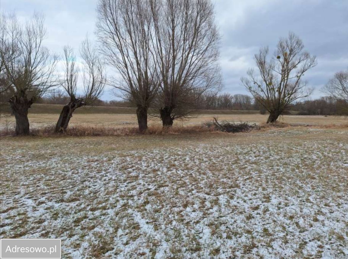 Działka rolno-budowlana Gorzewnica. Zdjęcie 6