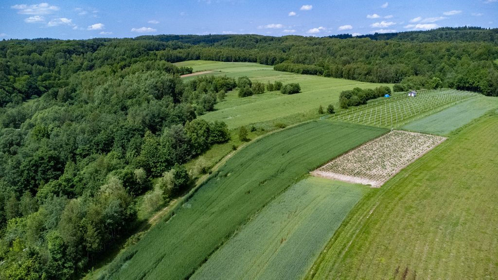 Działka rolno-budowlana Harta. Zdjęcie 8